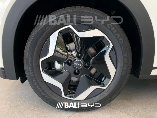 BYD Dolphin - Imagem 8