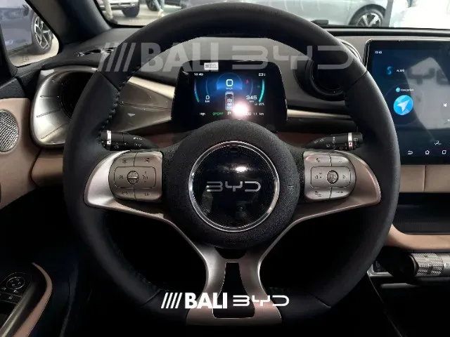 BYD Dolphin - Imagem 9