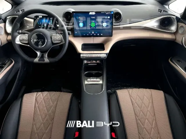 BYD Dolphin - Imagem 10