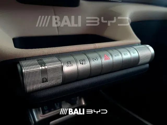 BYD Dolphin - Imagem 13