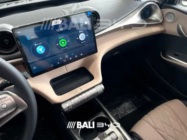 BYD Dolphin - Imagem 14