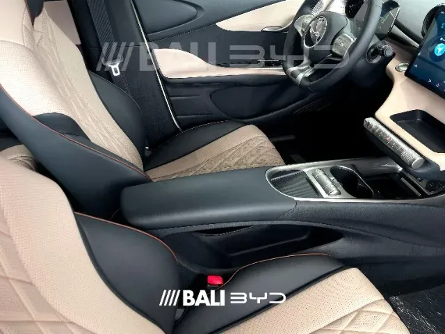 BYD Dolphin - Imagem 15