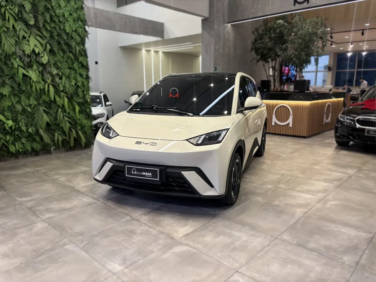 BYD Dolphin - Imagem 3