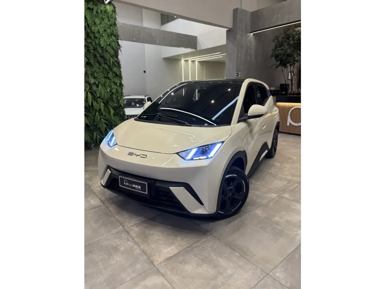 BYD Dolphin - Imagem 9