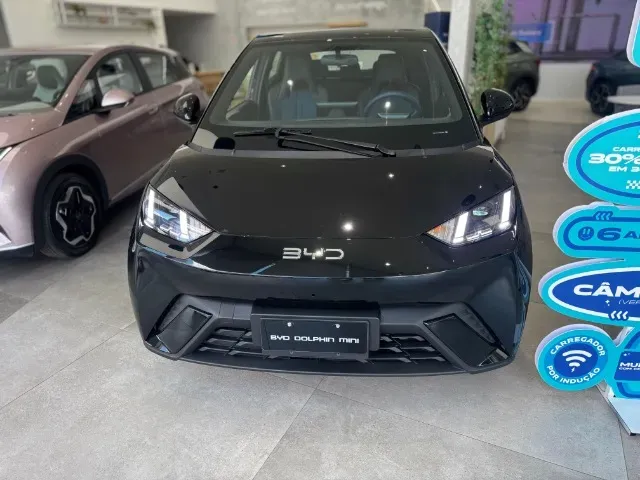 BYD Dolphin Mini - Imagem 18