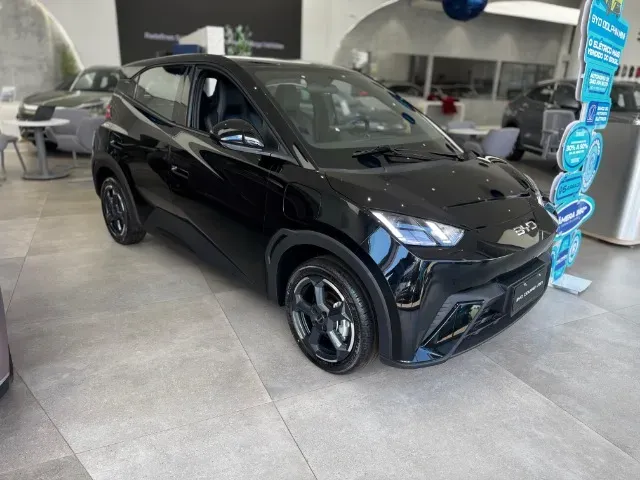 BYD Dolphin Mini - Imagem 19