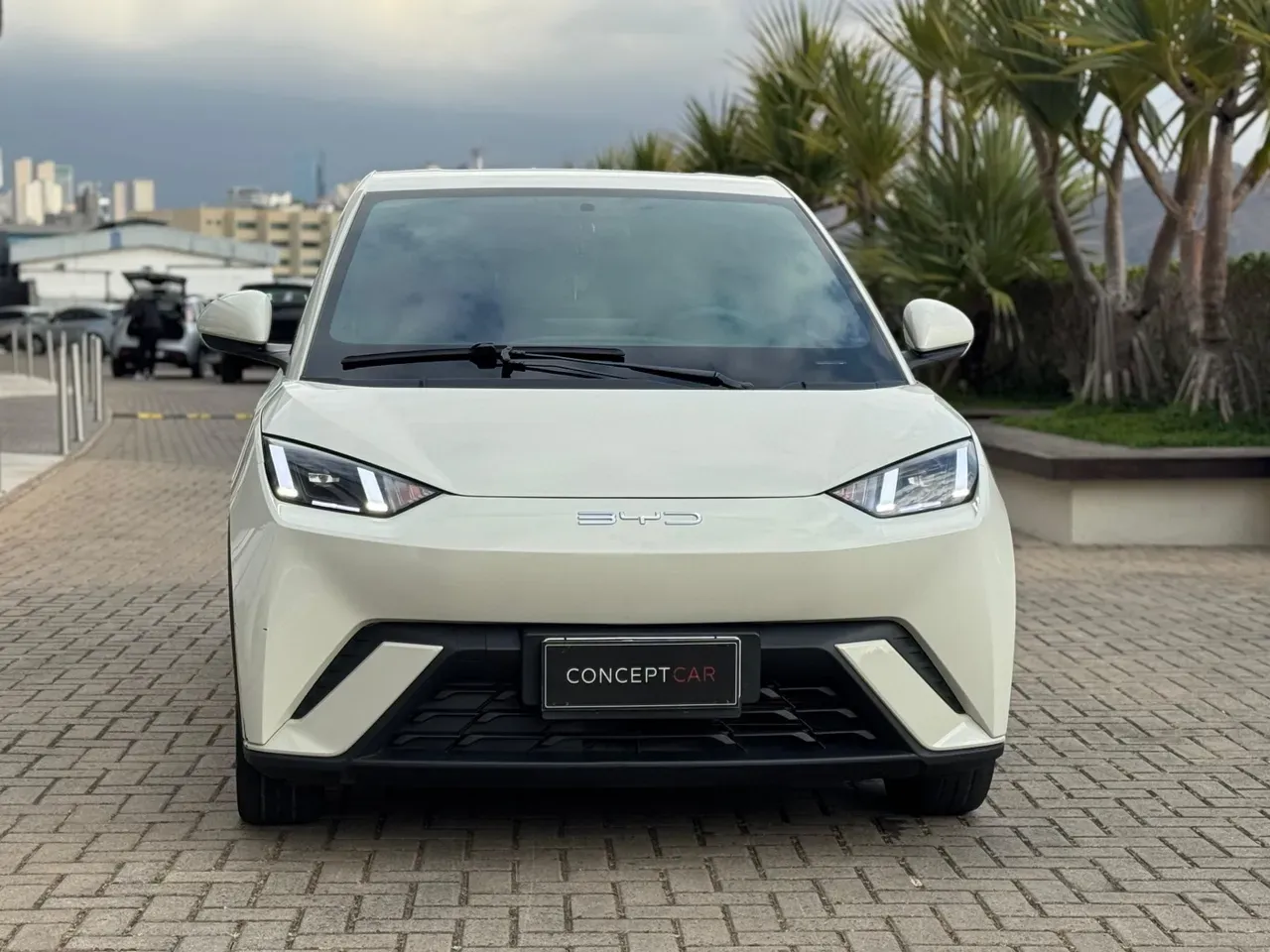 BYD Dolphin Mini - Imagem 4