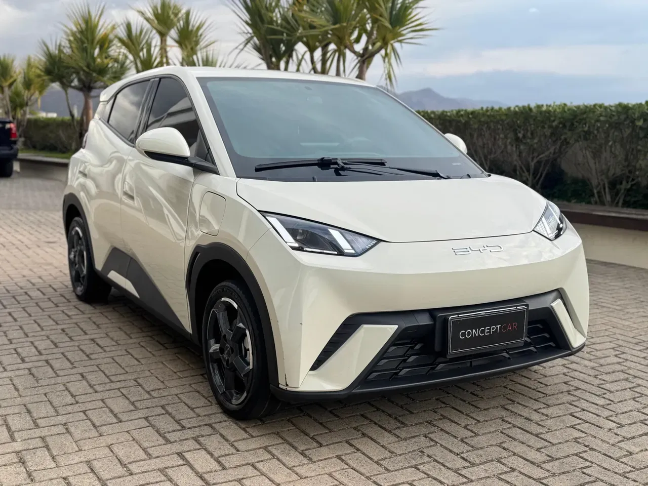 BYD Dolphin Mini - Imagem 5