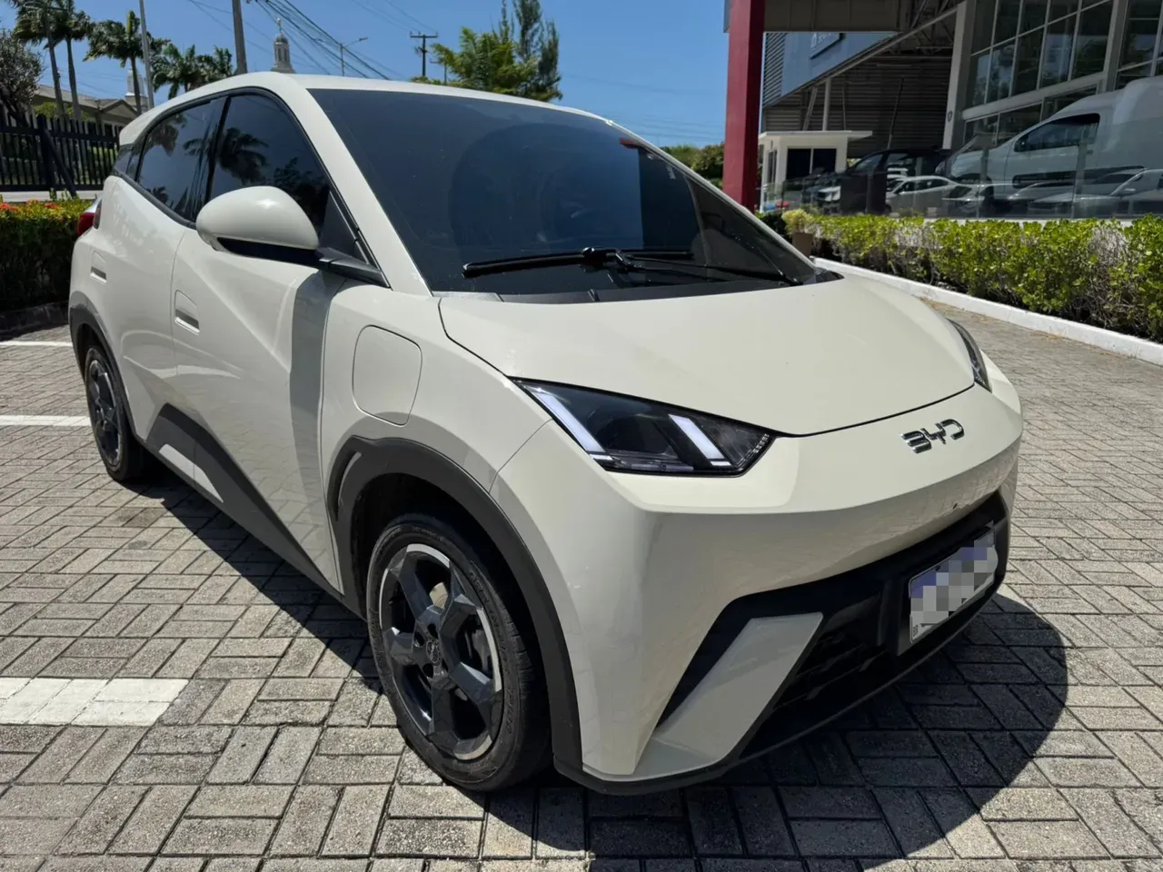 BYD Dolphin - Imagem 2