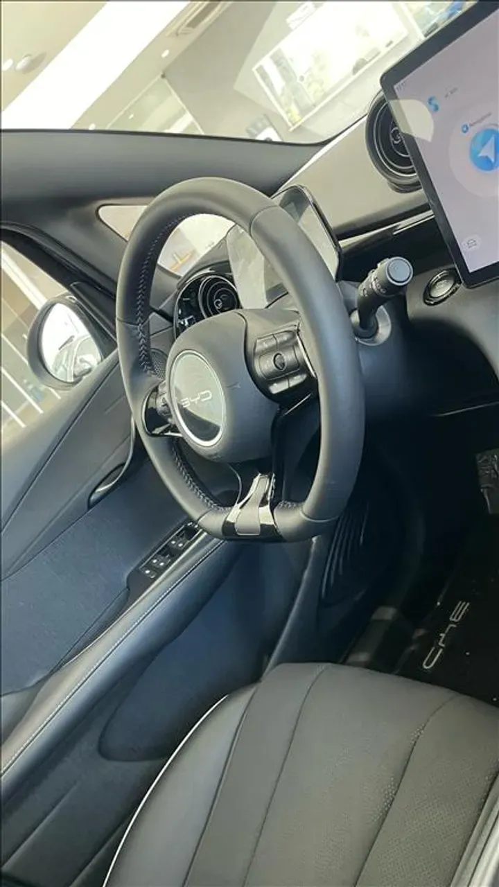 BYD Dolphin Plus - Imagem 13