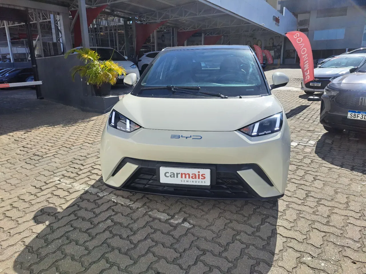 BYD Dolphin Mini - Imagem 2