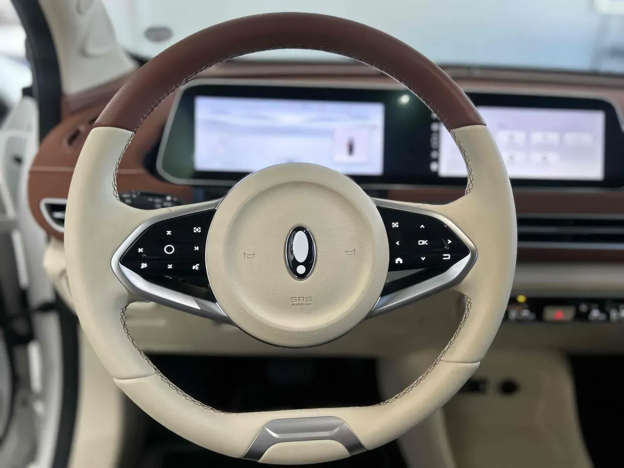 GWM Ora 03 - Imagem 13