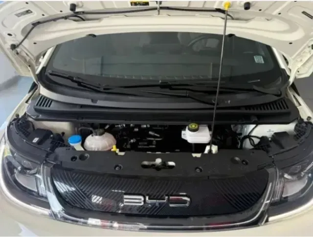 BYD Dolphin - Imagem 8