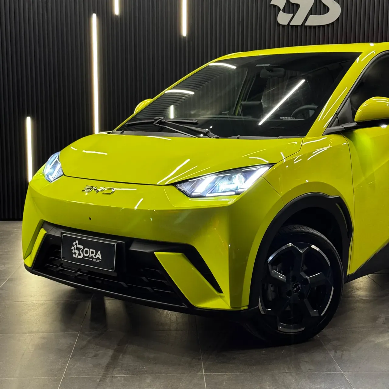 BYD Dolphin Mini - Imagem 2