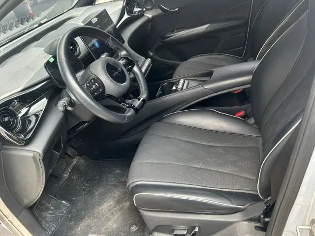 BYD Dolphin - Imagem 12