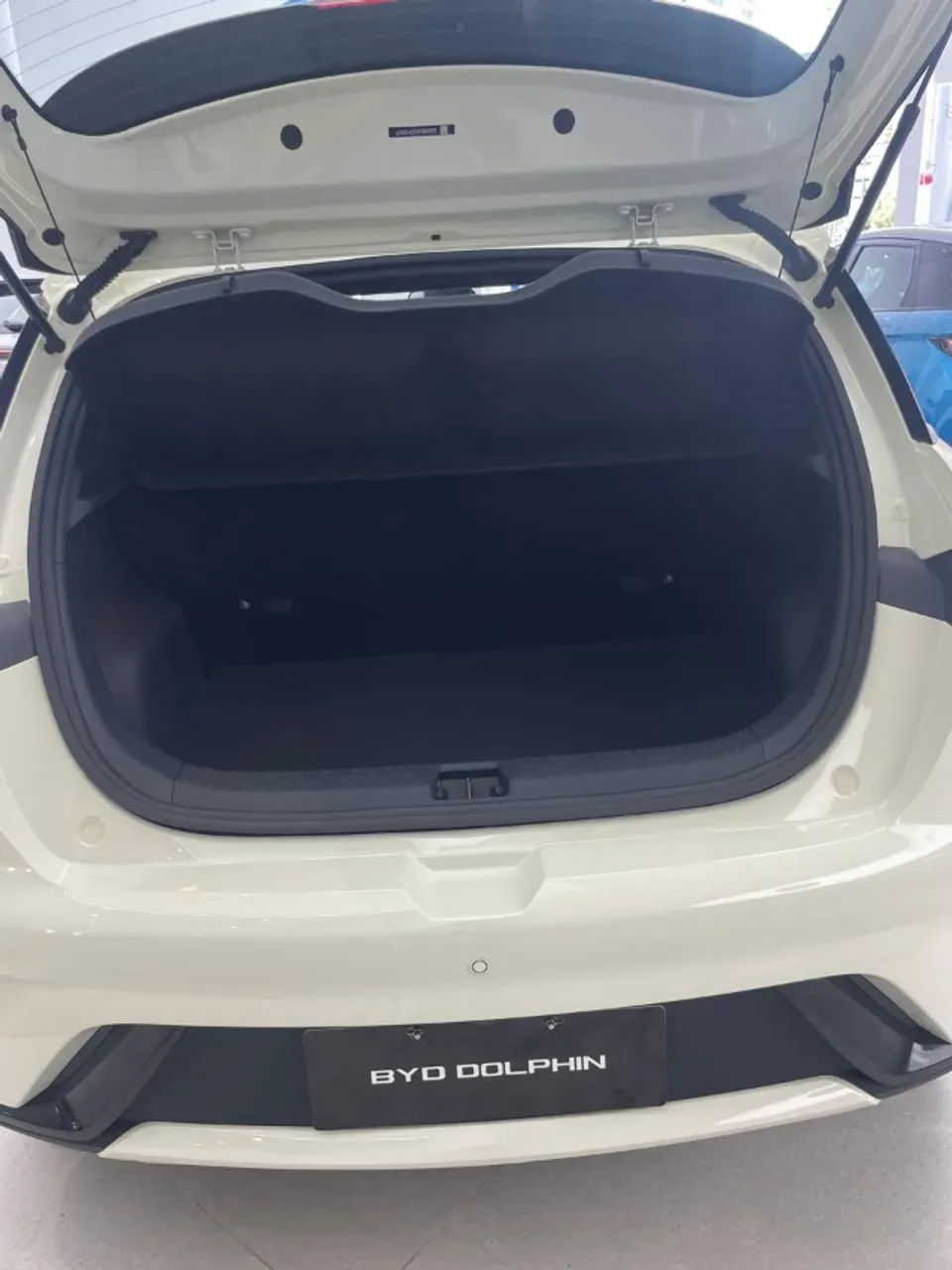 BYD Dolphin - Imagem 6