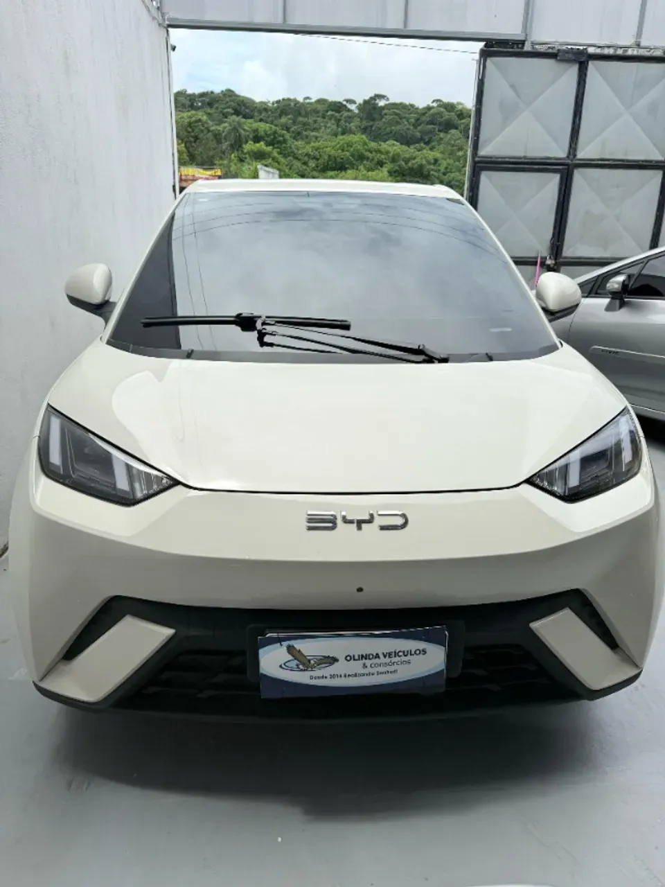 BYD Dolphin Mini - Imagem 5