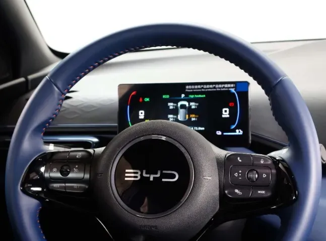 BYD Dolphin Mini - Imagem 10