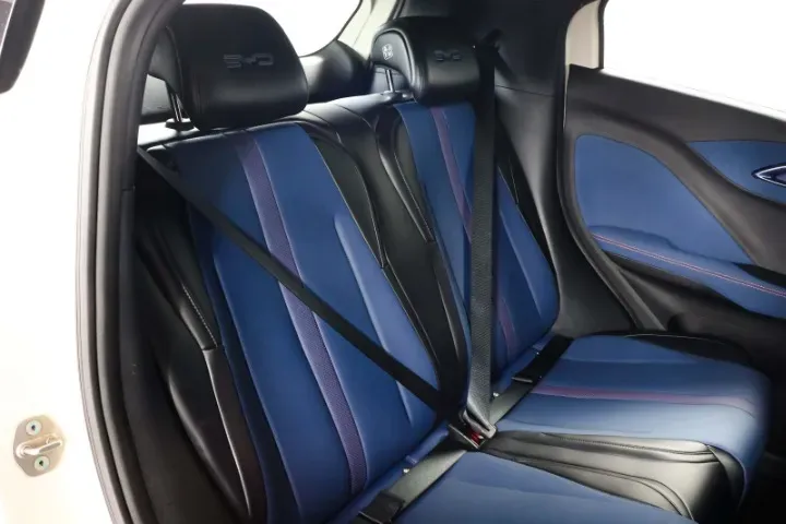 BYD Dolphin Mini - Imagem 13