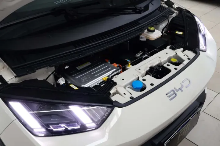 BYD Dolphin Mini - Imagem 18