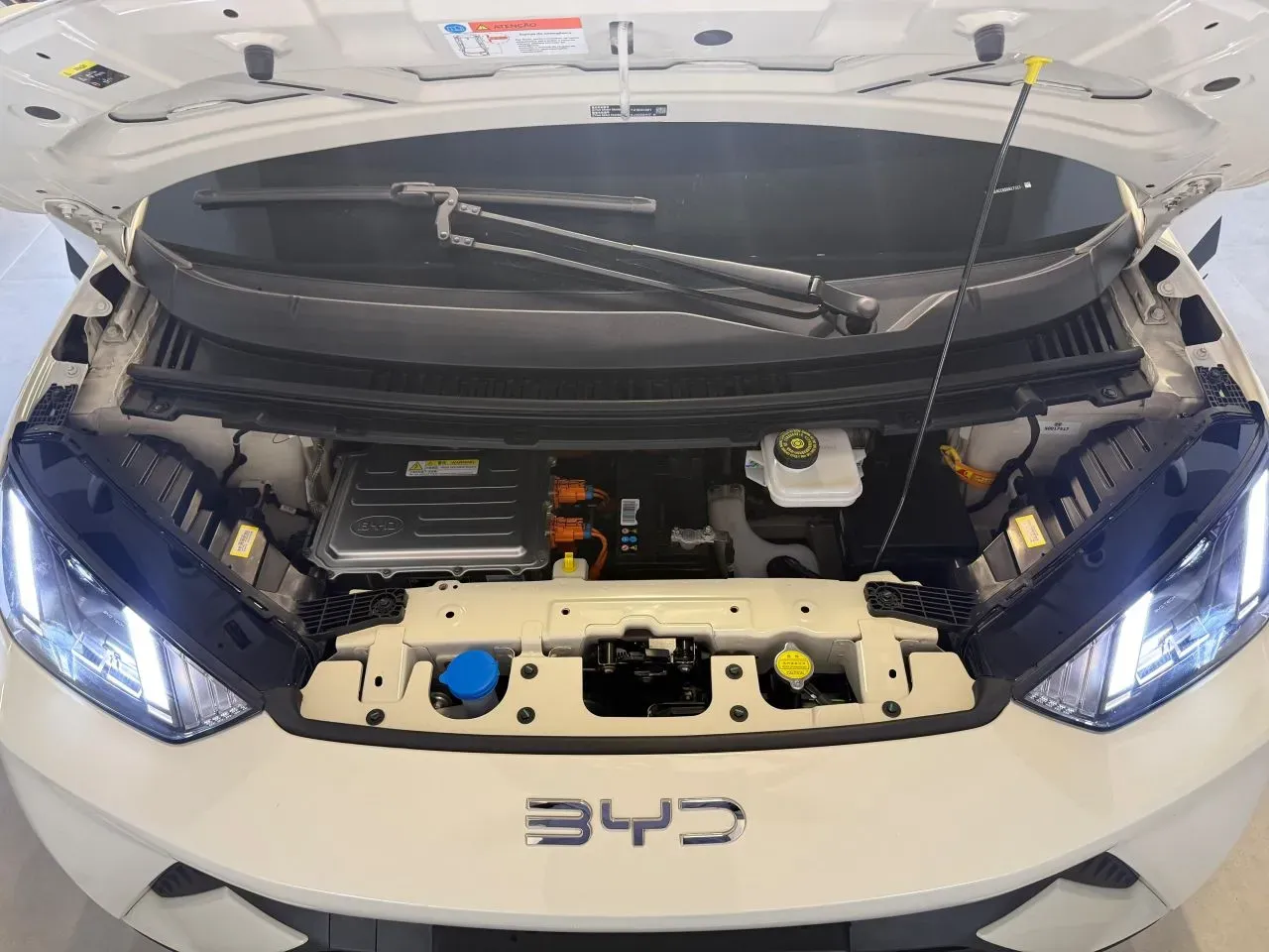 BYD Dolphin Mini - Imagem 14