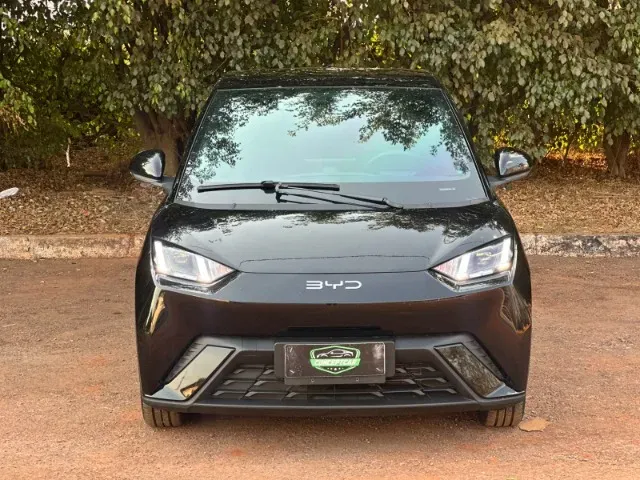 BYD Dolphin Mini - Imagem 2