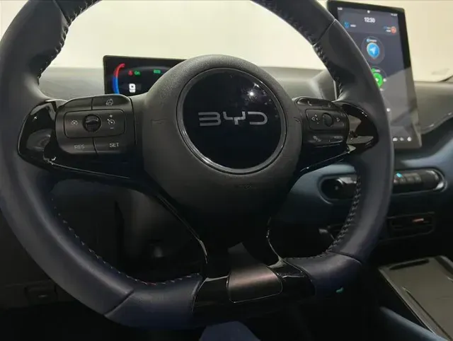 BYD Dolphin Mini - Imagem 17