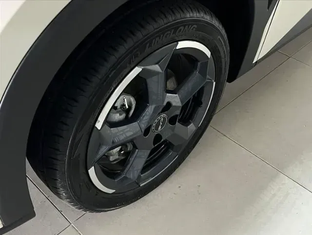 BYD Dolphin Mini - Imagem 20