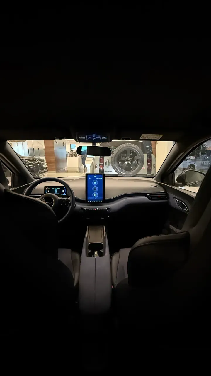 BYD Dolphin Mini - Imagem 10