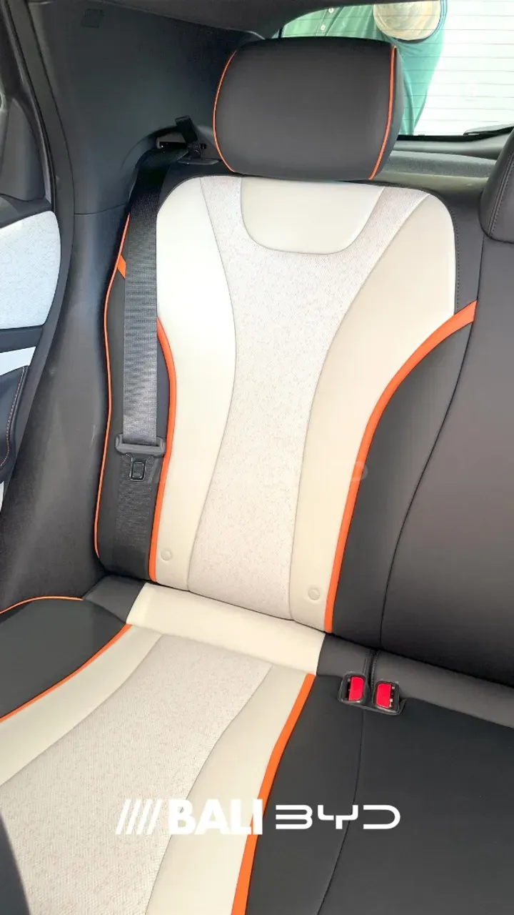 BYD Dolphin - Imagem 6