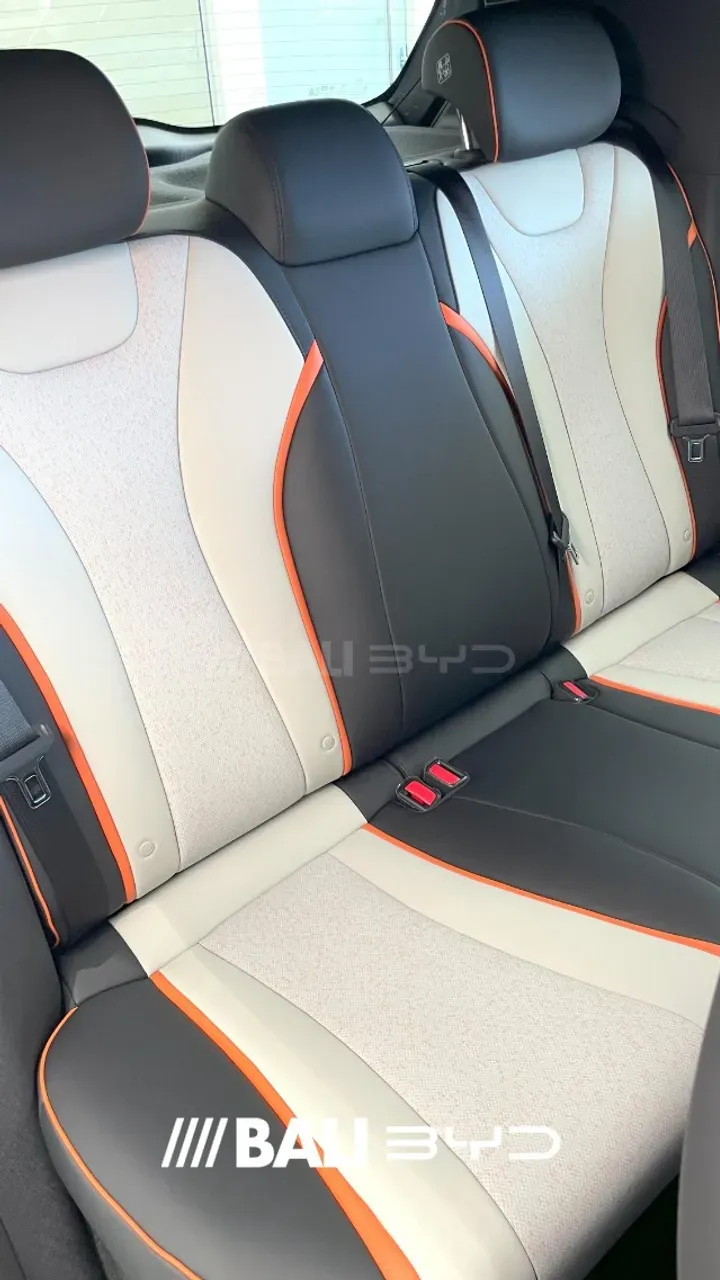 BYD Dolphin - Imagem 8