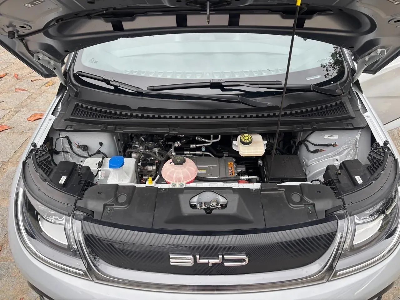 BYD Dolphin Plus - Imagem 7