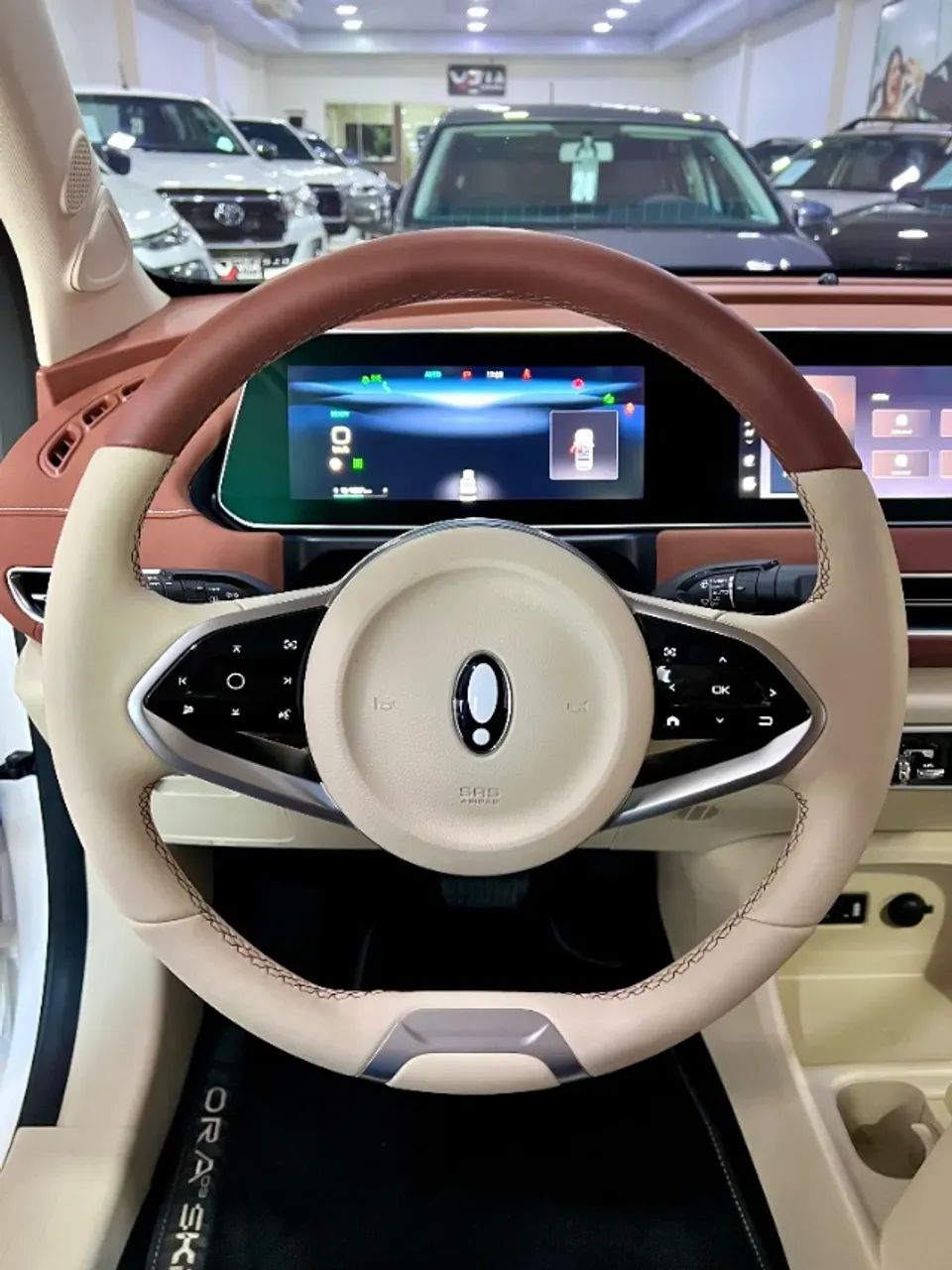 GWM Ora 03 - Imagem 8