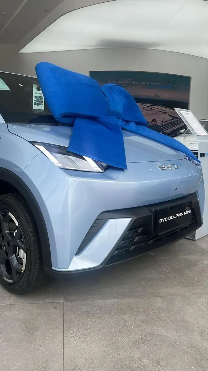 BYD Dolphin Mini - Imagem 9