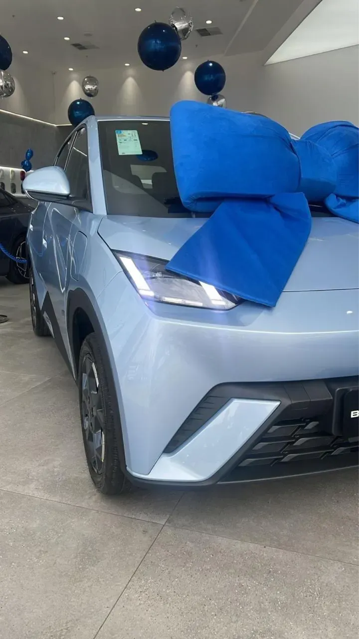 BYD Dolphin Mini - Imagem 10