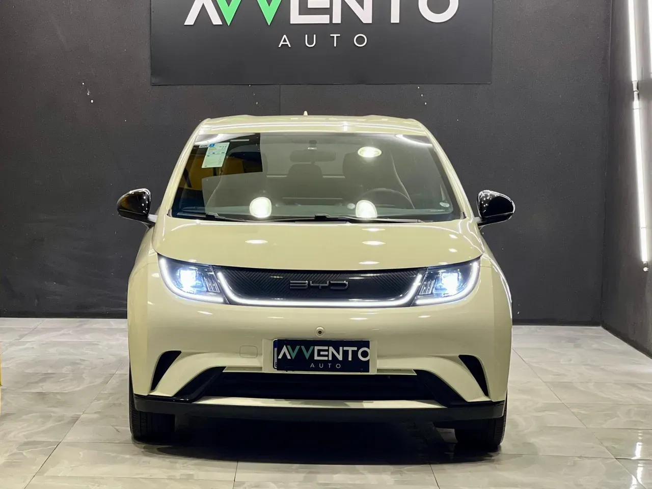 BYD Dolphin - Imagem 2