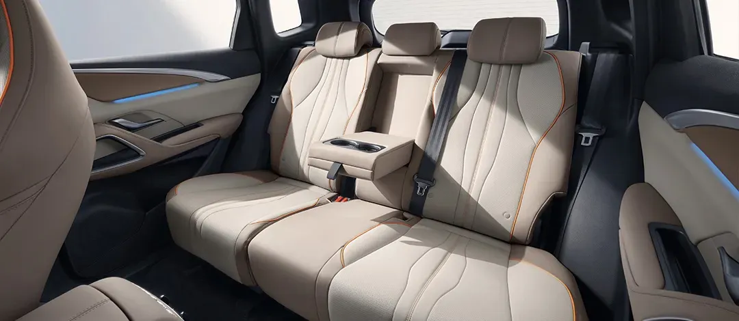 BYD Dolphin Mini - Imagem 20