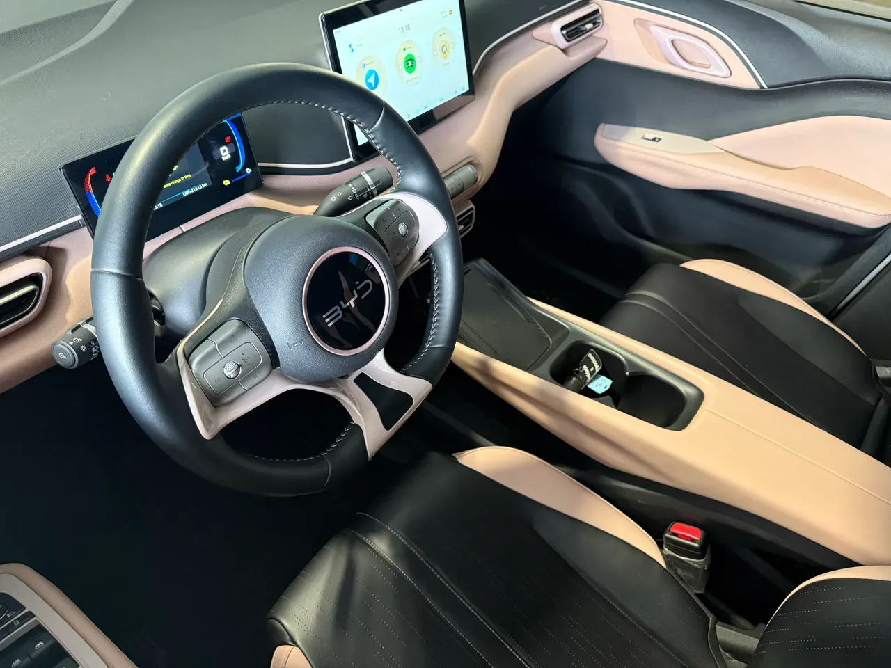 BYD Dolphin Mini - Imagem 5