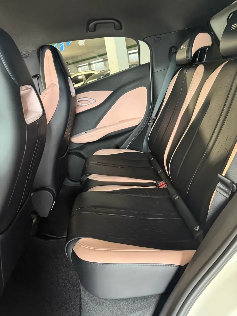 BYD Dolphin Mini - Imagem 6