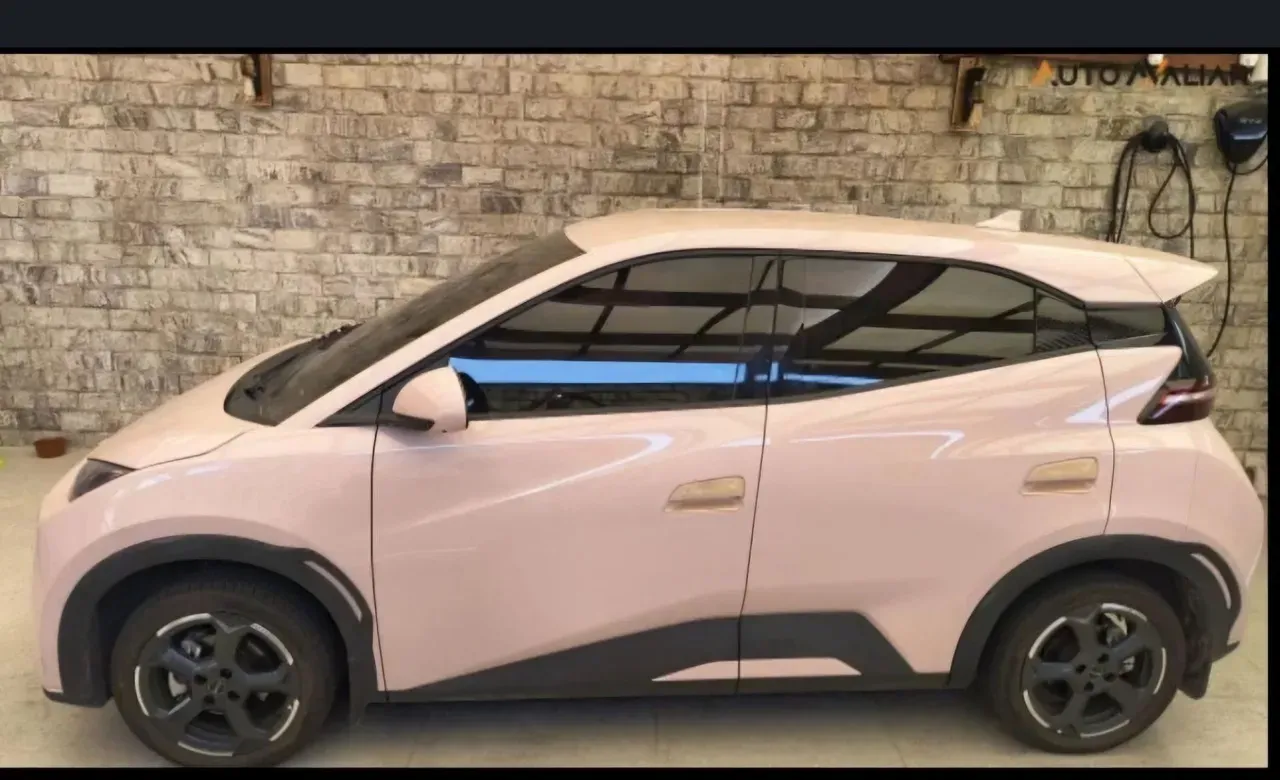 BYD Dolphin Mini - Imagem 2