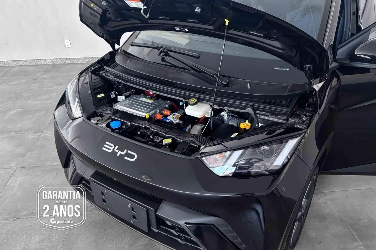 BYD Dolphin Mini - Imagem 6