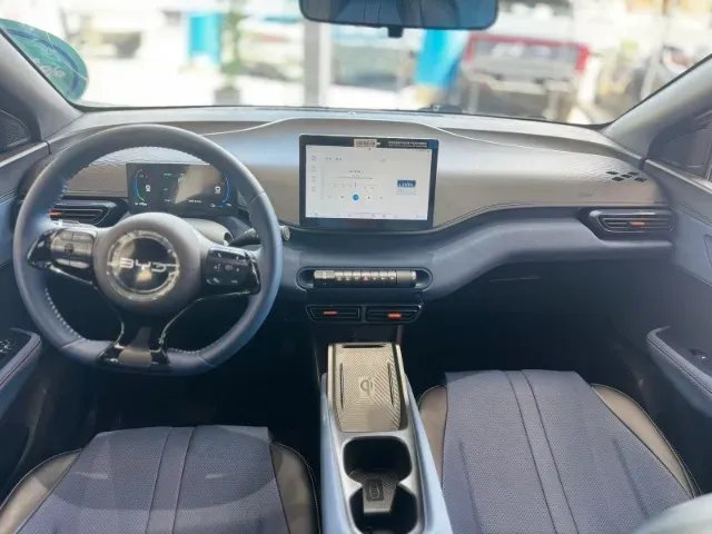 BYD Dolphin Mini - Imagem 18