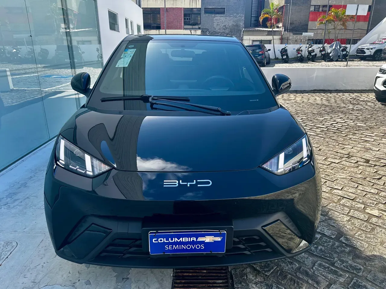 BYD Dolphin Mini - Imagem 2