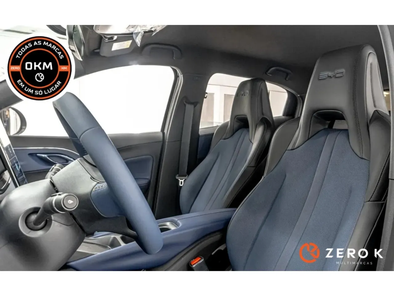 BYD Dolphin - Imagem 19