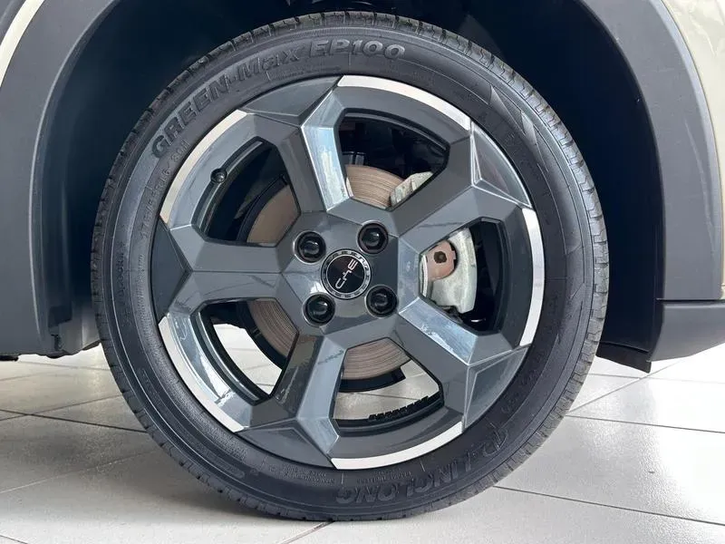 BYD Dolphin Mini - Imagem 13