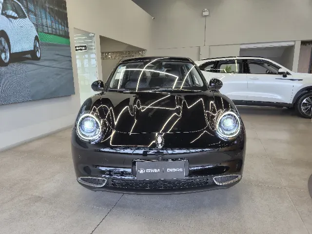 GWM Ora 03 - Imagem 2