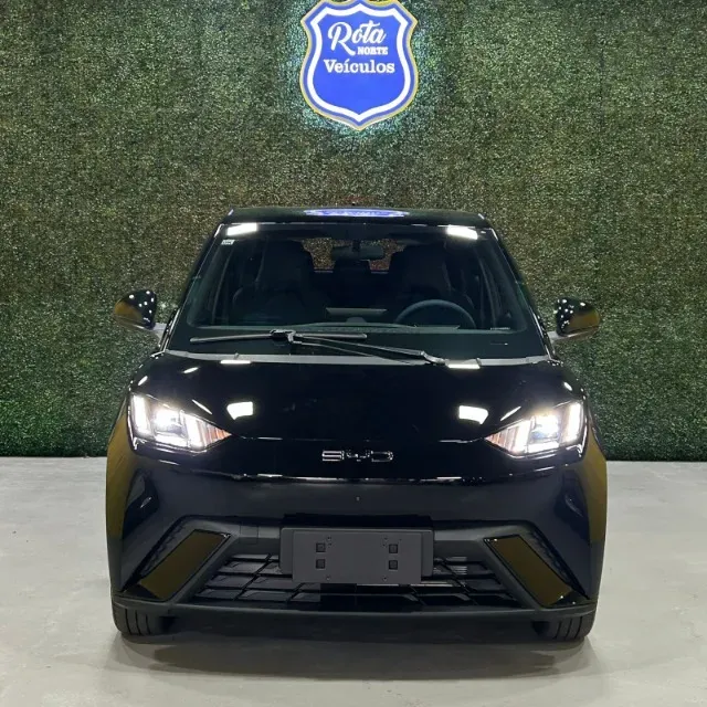 BYD Dolphin Mini - Imagem 5