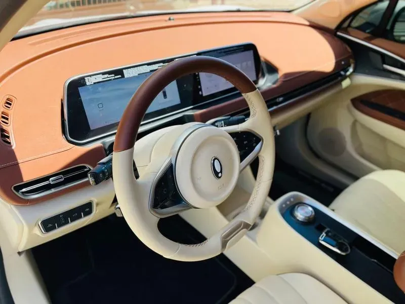 GWM Ora 03 - Imagem 10