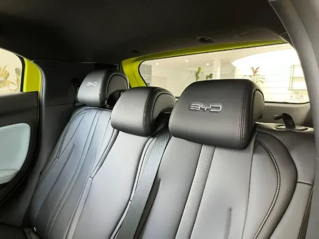 BYD Dolphin Mini - Imagem 13