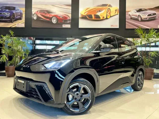 BYD Dolphin Mini - Imagem 18